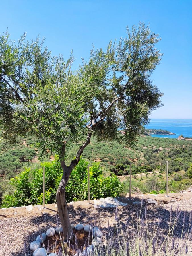Athina'S Stone House In Kardamyli Exterior foto