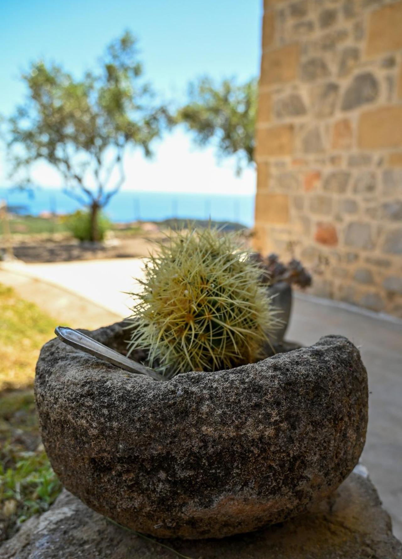 Athina'S Stone House In Kardamyli Exterior foto