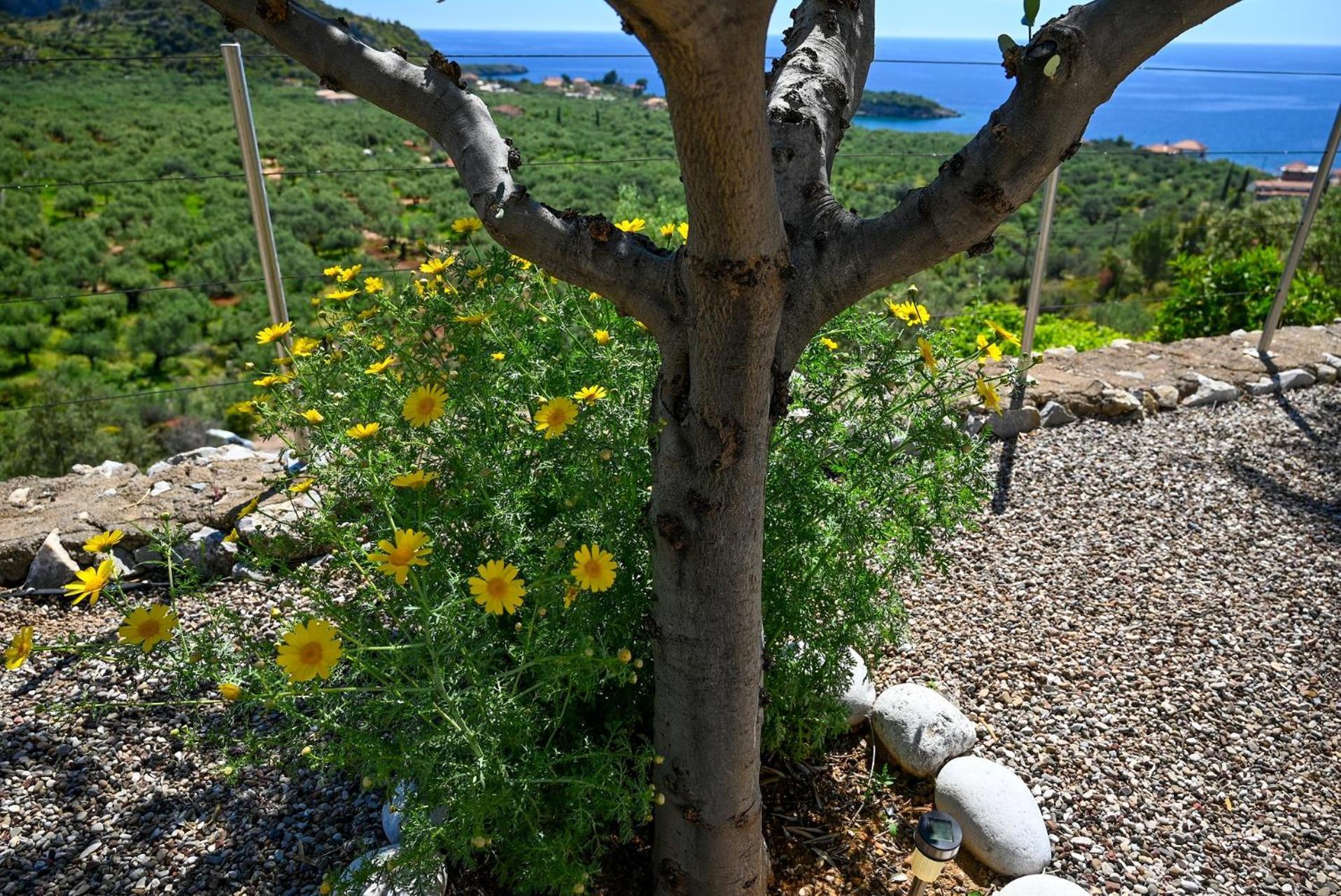 Athina'S Stone House In Kardamyli Exterior foto