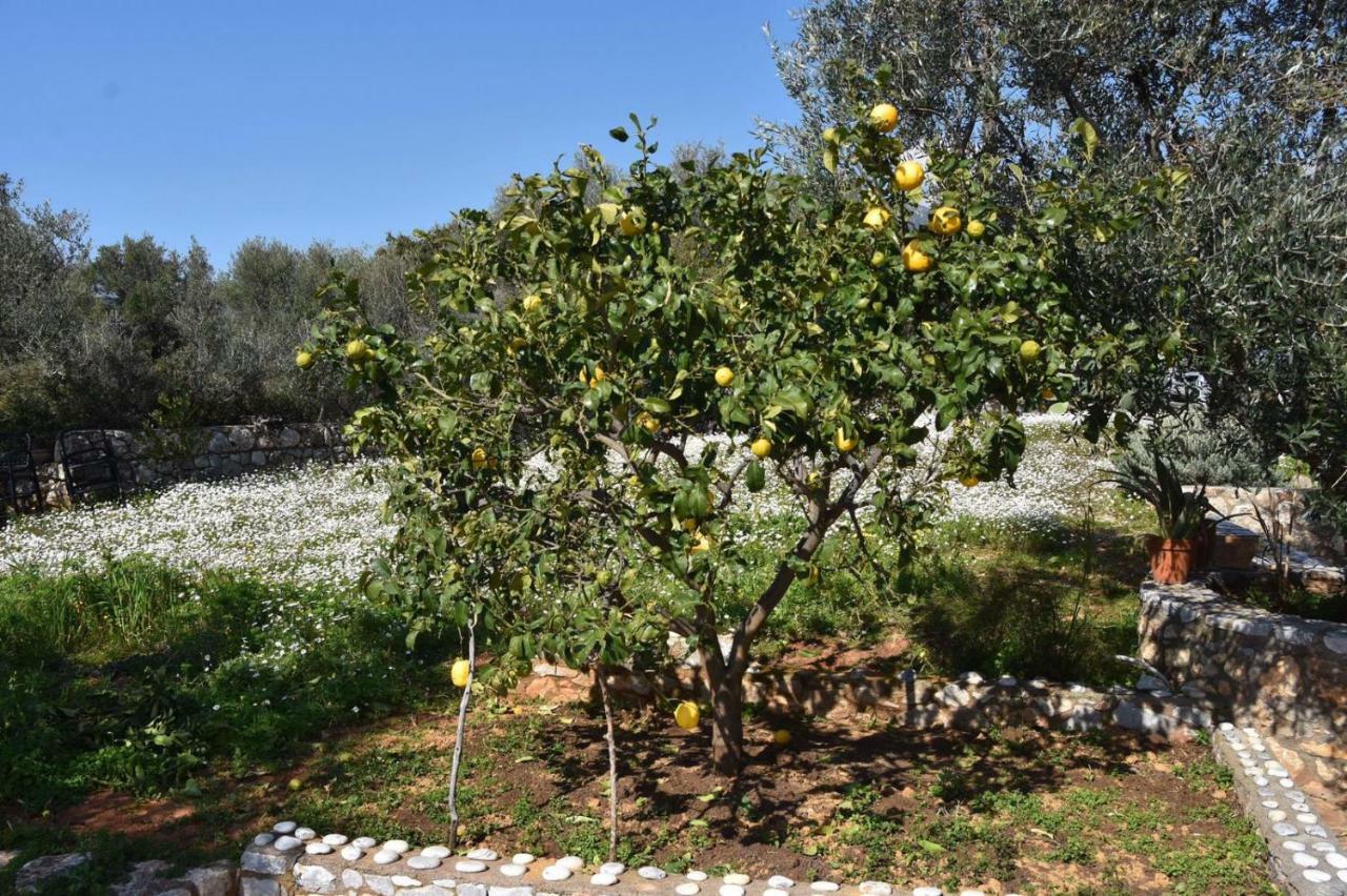 Athina'S Stone House In Kardamyli Exterior foto